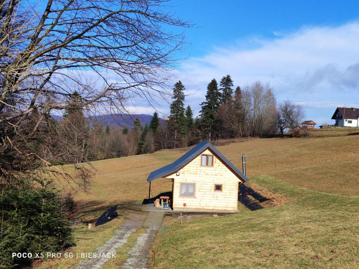 Holiday home Dudziakowka Werlas