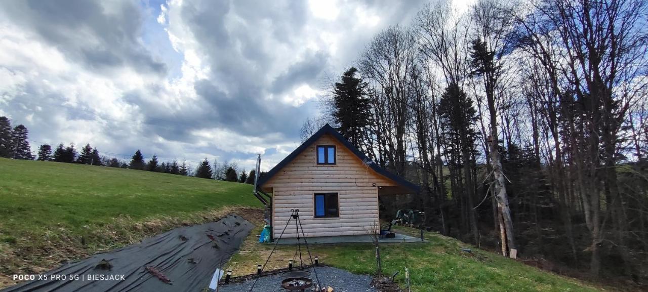 Dudziakowka Holiday home *