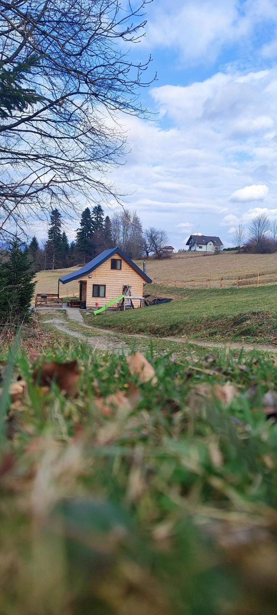 Dudziakowka Holiday home *
