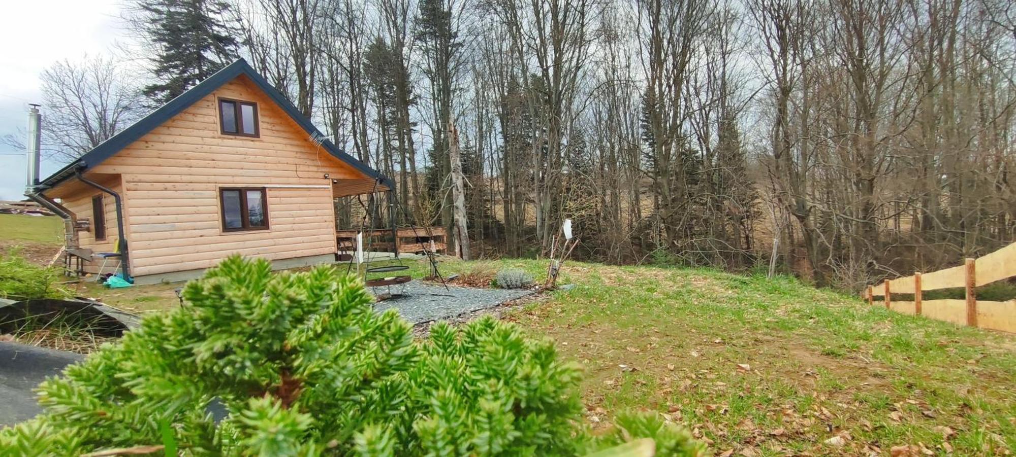 Dudziakowka Holiday home *