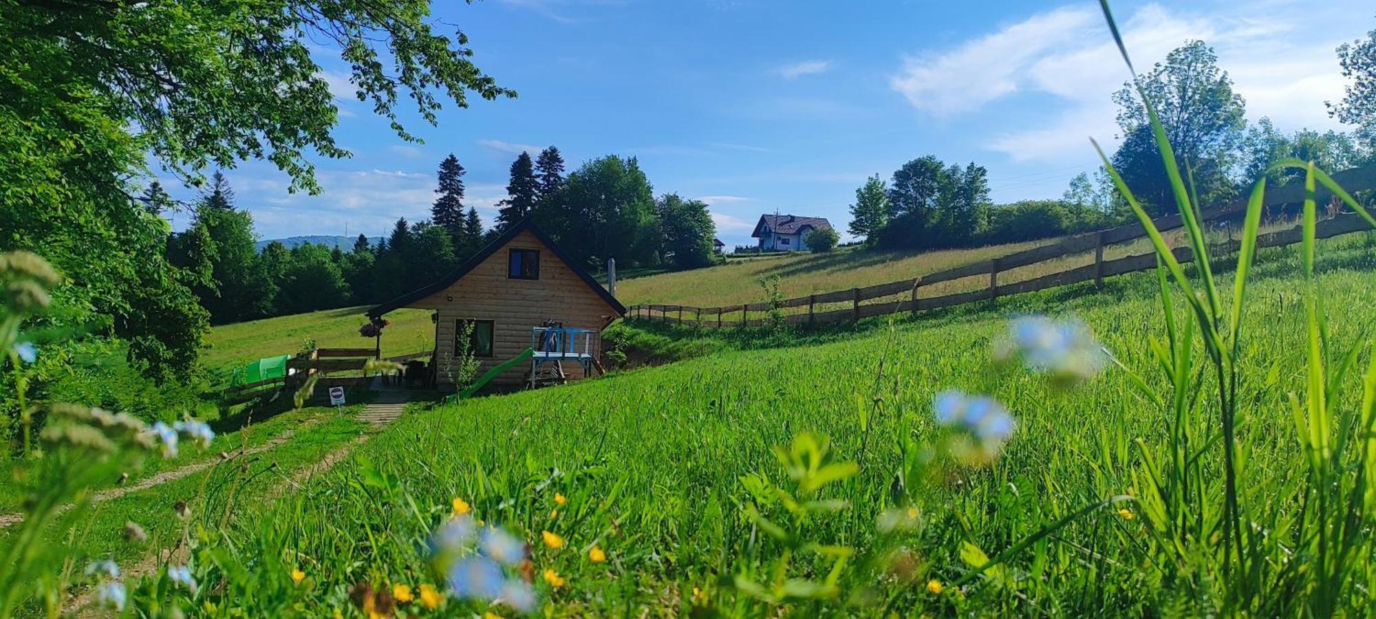 Holiday home Dudziakowka