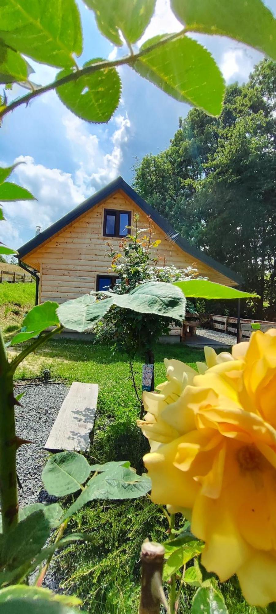 Holiday home Dudziakowka Werlas
